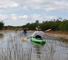 S Florida kayaking