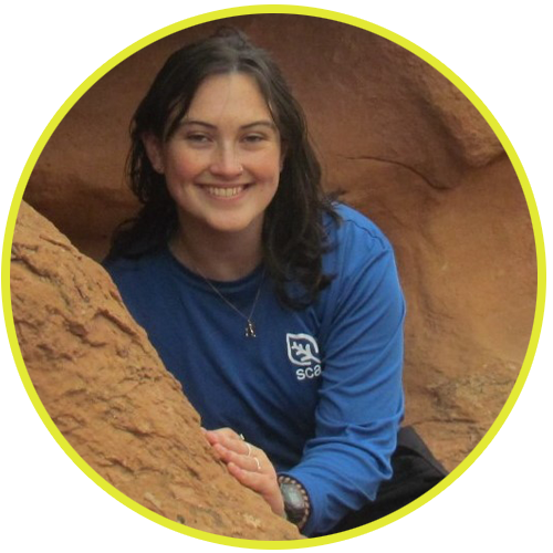 Bristol Sternfield Bristol Sternfield