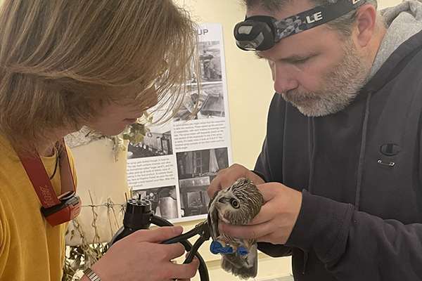 An MCLA professor working with a student