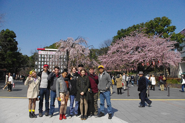 Cherry blossom in Tokyo's Ueno Park