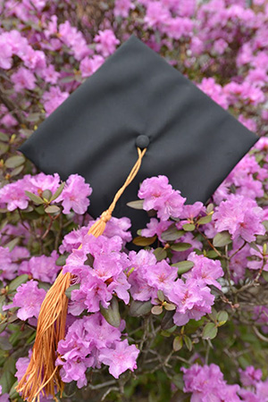 graduation cap in flowers